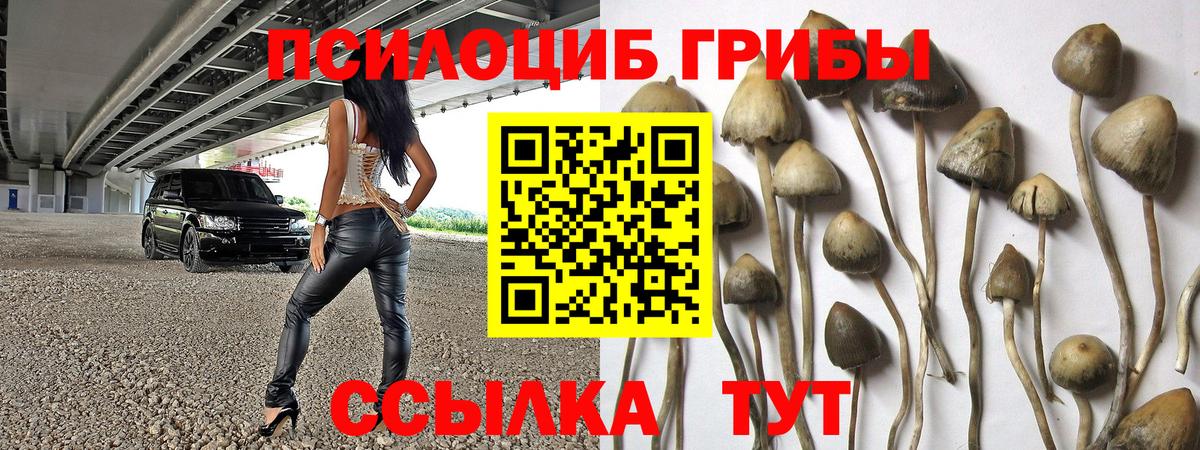 Галлюциногенные грибы GOLDEN TEACHER  Вход с VPN  Ейск 